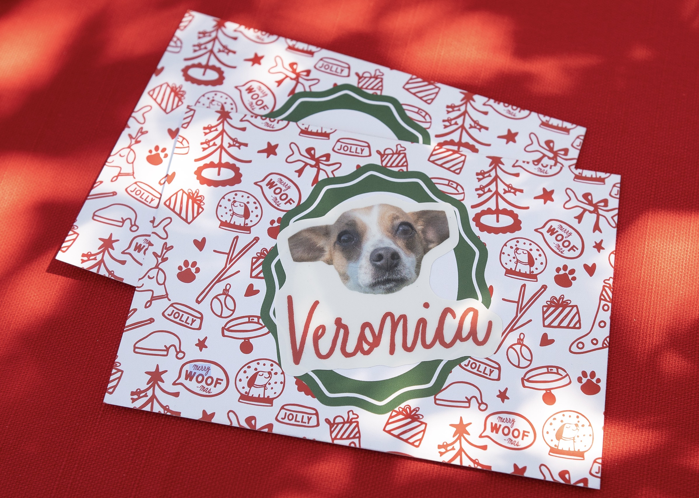 VistaPrint partners with Save-A-Dog Scheme for new ‘Every Pet Deserves a Christmas’ campaign